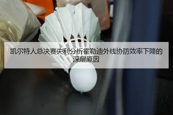 凯尔特人总决赛失利分析霍勒迪外线协防效率下降的深层原因